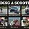 Funny Scooter Memes
