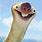 Funny Sid the Sloth Pictures