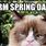 Funny Spring Cats