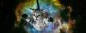 Galaxy Cat Desktop Wallpaper
