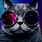 Galaxy Glasses Cat Wallpaper