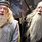 Gandalf Dumbledore