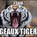 Geaux Tigers Meme