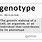 Genotype Example Biology