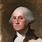 George Washington Face