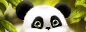 Girly Cute Baby Panda Wallpaper