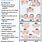 Glasgow Coma Scale Intubated