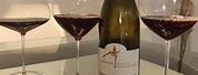 Glass of Chambertin