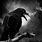 Gothic Raven Images