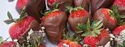 Gourmet Chocolate Covered Strawberries