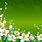 Green Flower Background HD