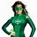 Green Superhero Costume