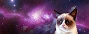 Grumpy Cat Galaxy Wallpaper