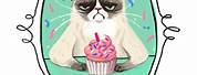 Grumpy Cat Happy Birthday Clip Art