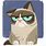 Grumpy Cat Illustration