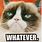 Grumpy Cat Sayings