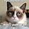 Grumpy Cat Thursday Meme