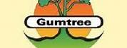 Gumtree Belfast