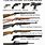 Guns and Their Names