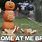 Halloween Pumpkin Funny Memes