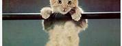 Hang in There Cat Poster 70s