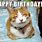 Happy Birthday Kitten Meme