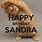 Happy Birthday Sandra Meme