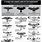 Hawk Size Chart