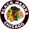 Hawks Hockey Logo