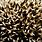 Hedgehog Skin