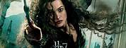 Helena Bonham Carter Harry Potter 7