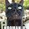 Hooman Cat