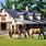 Horse Barn Homes