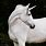 Horse Unicorn Horn