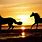 Horses Running in Sunset