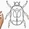 How to Draw Bugs