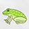 How to Draw a Glass Frog