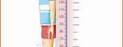 How to Measure Height