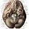 Human Brain Anatomy Wallpaper