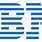 IBM Logo Icon