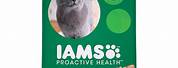 Iams Senior Cat Food