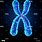 Image of Chromosome