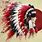 Indian Feather Wallpaper