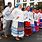 Indigenous People of the Azores