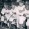 Jackie Robinson Baseball Team