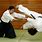 Japanese Aikido