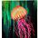 Jellyfish Painting