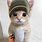 Jesse Pinkman Cat