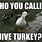 Jive Turkey Meme