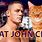 John Cena Cat